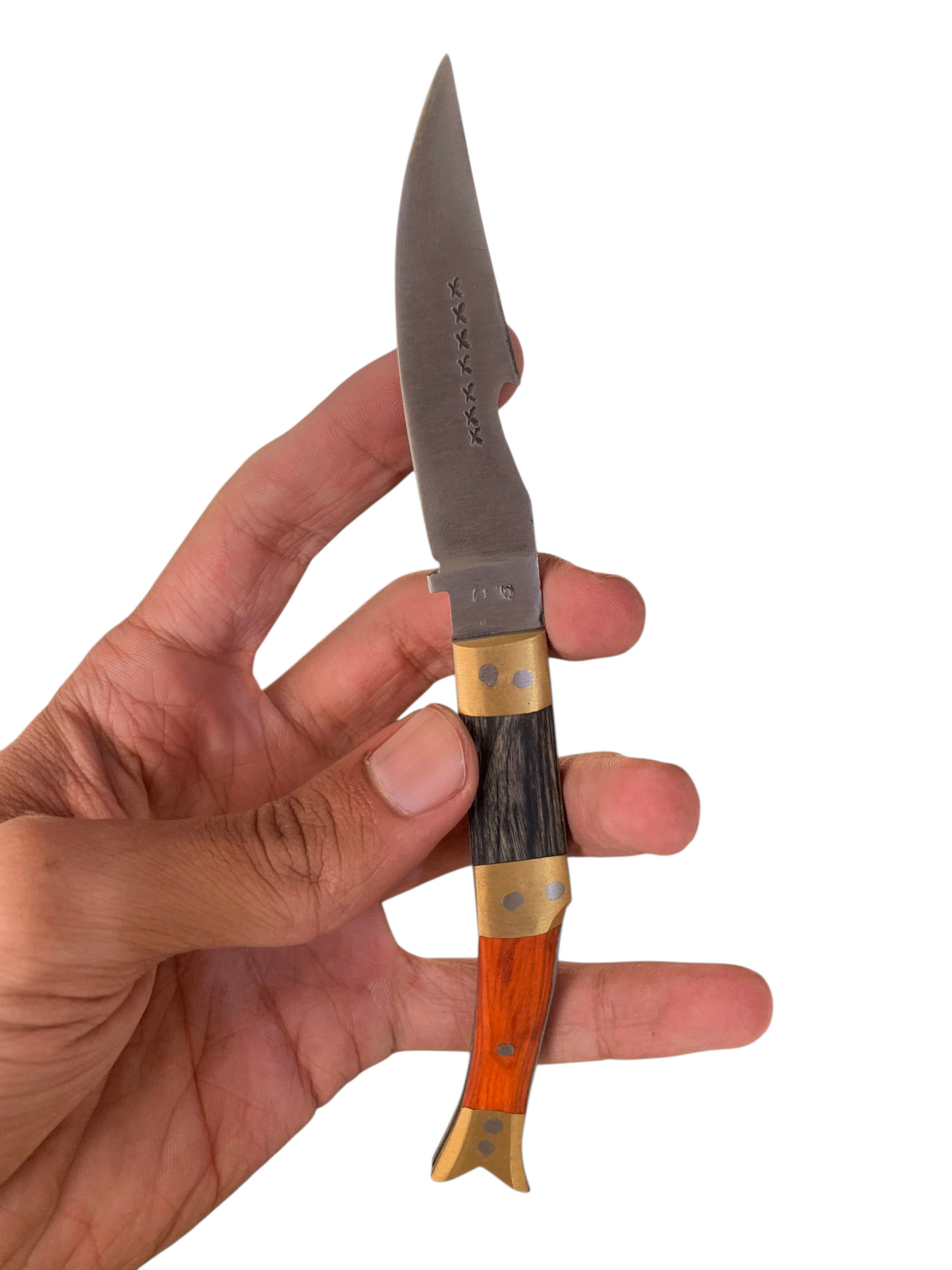 M size 2 piece fish design